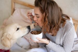 not all human foods are safe for dogs