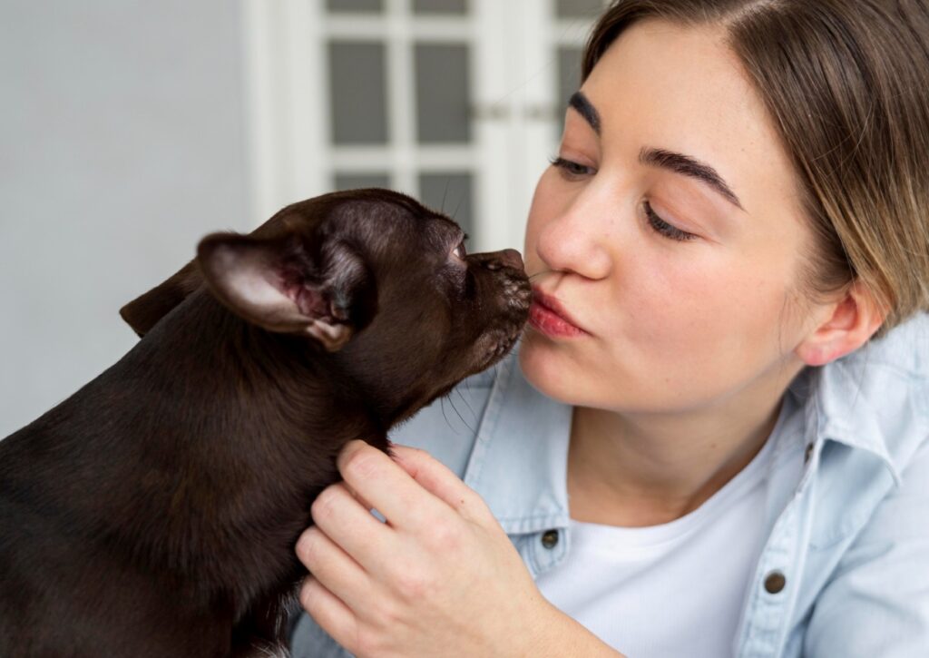 The Scary Truths Behind Why Dogs Lick You